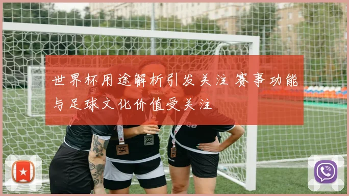 世界杯用途解析引发关注 赛事功能与足球文化价值受关注