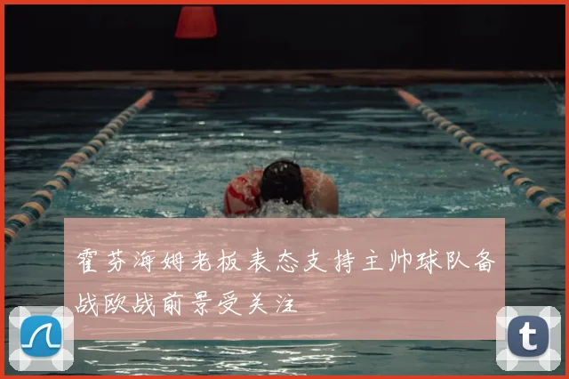 霍芬海姆老板表态支持主帅球队备战欧战前景受关注