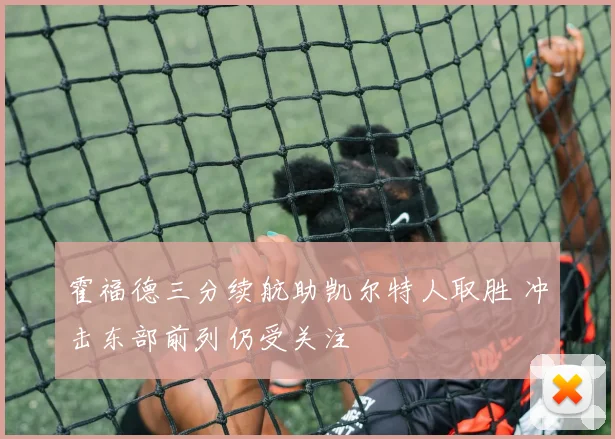 霍福德三分续航助凯尔特人取胜 冲击东部前列仍受关注