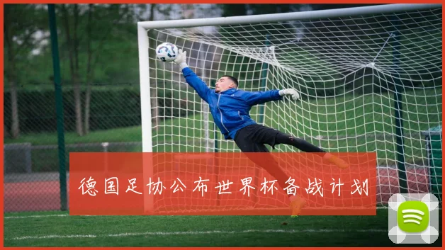 德国足协公布世界杯备战计划