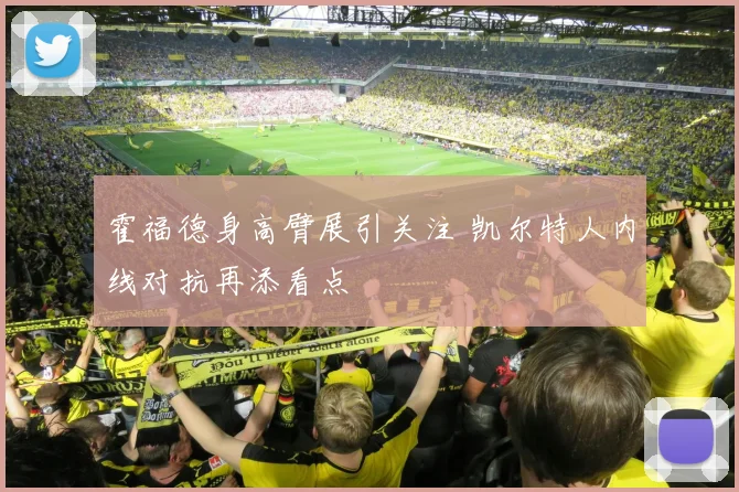 霍福德身高臂展引关注 凯尔特人内线对抗再添看点
