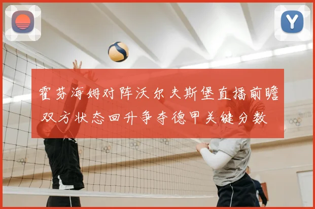 霍芬海姆对阵沃尔夫斯堡直播前瞻 双方状态回升争夺德甲关键分数