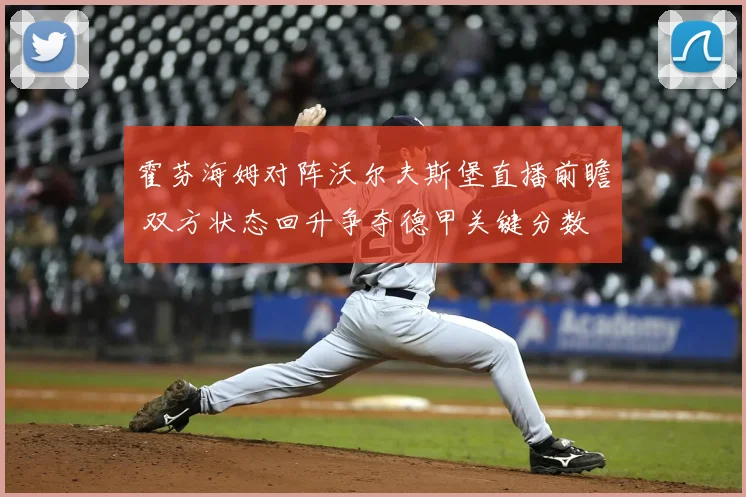 霍芬海姆对阵沃尔夫斯堡直播前瞻 双方状态回升争夺德甲关键分数