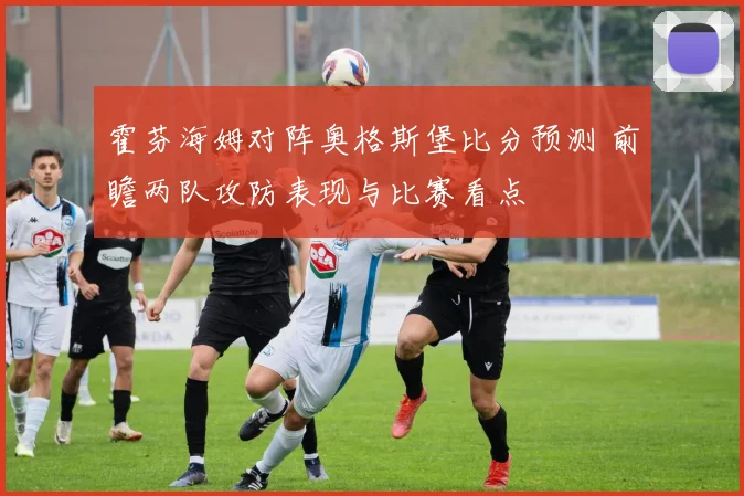 霍芬海姆对阵奥格斯堡比分预测 前瞻两队攻防表现与比赛看点